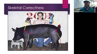 Livestock Judging part 2 by Show-Rite Show Feeds 436 views 4 years ago 4 hours, 33 minutes