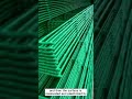 welded mesh fence
