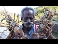 BIG LOBSTERS Prepared by my Daddy / VILLAGE FOOD FACTORY