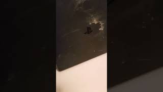 Does Ps4 Play Blu Ray Dvds