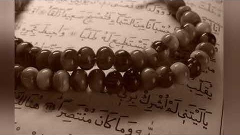 سورة المسد _ محمود عبدالحكم