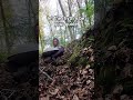 Handpan in the forest 🌿 Let the rhythm guide you 🥁 #Handpan #NatureVibes #Meditation  #QuickReset