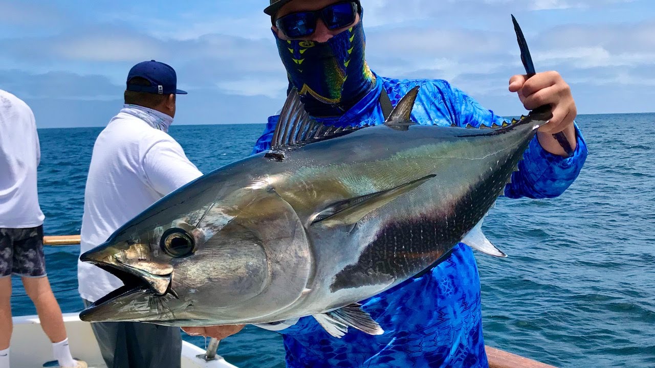Bluefin Fishing Aboard the Mission Belle! YouTube