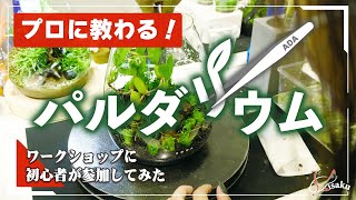 【初心者でも簡単】ADAスタッフに学ぶパルダリウムの作り方＆管理方法【NATURE AQUARIUM EXHIBITION パルダリウムワークショップ】
