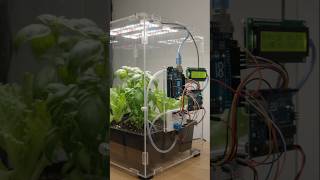 plant growth using Arduino #shorts #viral #viralvideo