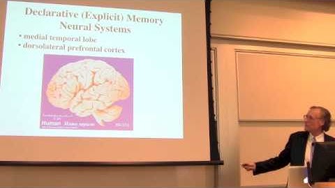 "Promise and Pitfalls of Neuroeducation" with John Gabrieli, PhD