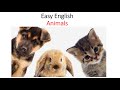 Easy English. Animals.