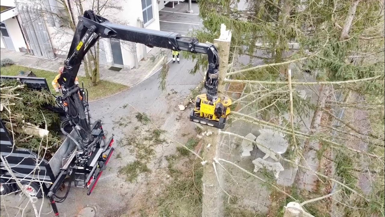 Geri Wicki Transporte Spezialholzerei mit Gierkink GMT050Wurzelstock fräsen mit Rayco RG37 4x4