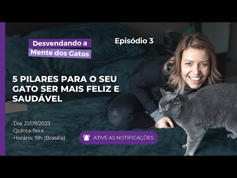 Vídeo: Como parar de ter medo de gatos: 15 etapas