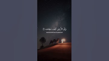 ﴿ أفلَا ينظُرون إلى الإبلِ كيف خُلقت ﴾ ❤️ سوره الغاشيه، عبدالرحمن مسعد #ارح قلبك #قرآن
