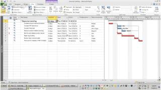 How to auto level workload using Microsoft Project