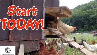 Quick Start Guide - Raising Chickens For Beginners