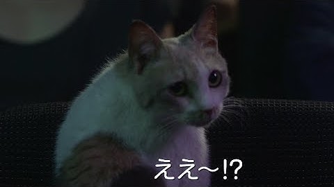 映画『先生と迷い猫』劇場マナー予告