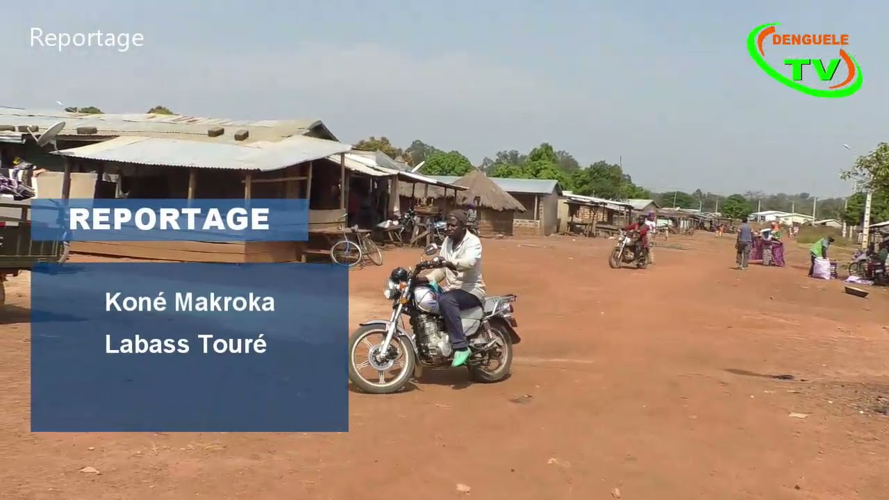 🛑 𝐑𝐄𝐏𝐎𝐑𝐓𝐀𝐆𝐄 Sur la culture du cacao à Mamouroudougou dans la sous préfecture de Bako