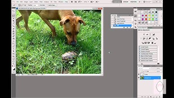 Move an Object in a Photo using Photoshop CS5