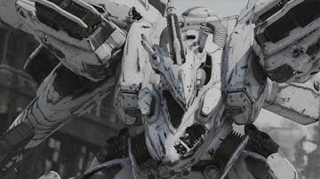 ACfA Collared Rank 9 White Glint