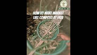 How to Make Compost at Home | Easy Compost Making from Kitchen Waste | Organic Fertilizer for Plants