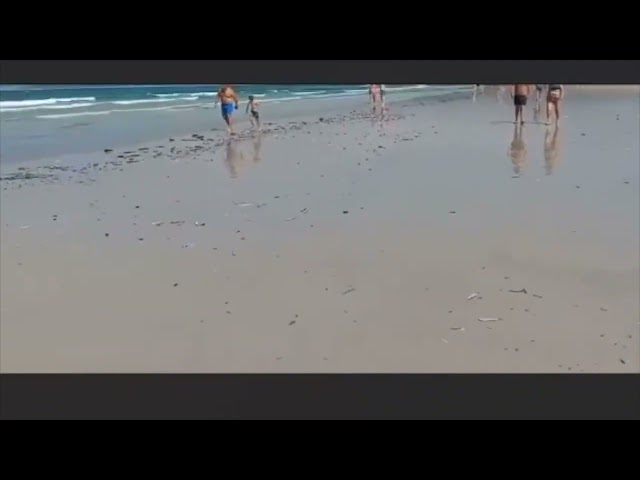 Un manto de navallas mortas volve cubrir a praia da Lanzada