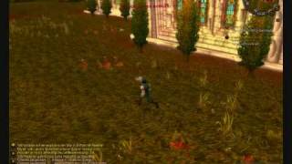 Alpa Plays World Of Warcraft