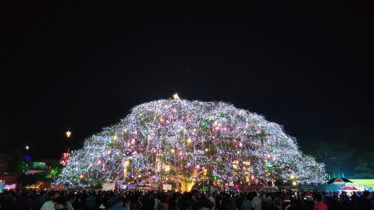 Natural Christmas Tree Lighting Ceremony Fort Kochi veli ground 