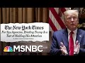 Lengths To Which Trump's Intelligence Team Must Go To Get Him To Pay Attention | Deadline | MSNBC