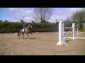 Schooling at Home with Cian O'Connor