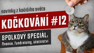 Kočkování #12: Fundraising, finance, účetnictví by Kočkování 83 views 6 months ago 2 hours, 40 minutes