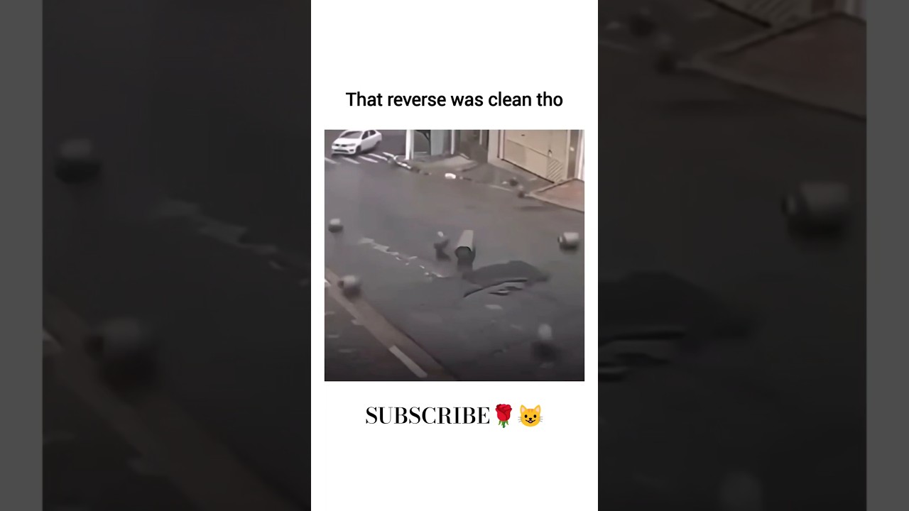 Random Funny Clip That Live Rent-Free in My Head 🤡 