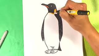 EASY How to Draw EMPEROR PENGUIN