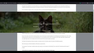New Repertoire of cat training and handling videos by Caroline Crevier-Chabot 205 views 2 years ago 47 seconds