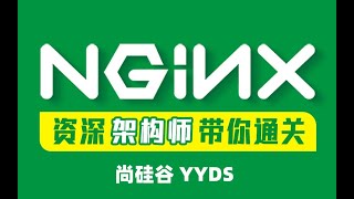 【Nginx】【核心技术篇】20 基本使用 Nginx隧道式模型 网关、代理与反向代理