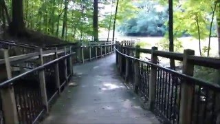 Carpenter Lake Nature Preserve, Southfield, MI August 2015