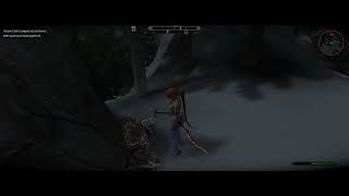 Skyrim SE - hmm