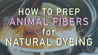 How To Mordant Protein (Animal) Fibers
