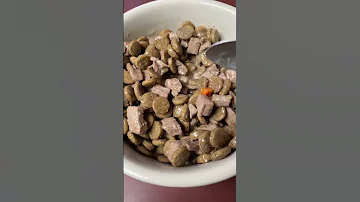 Koha Memphis BBQ dog food #dogs #dogshorts #shorts #dogfood #fyp #foryou
