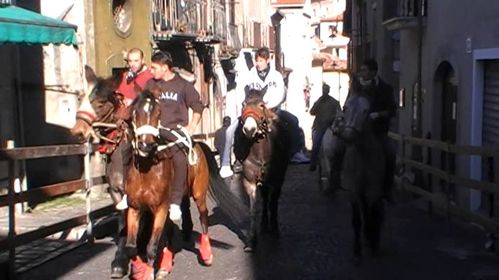 Festività di Sant'Antonio Abate - Pignola PZ