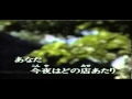 なみだ酒 唄:長山洋子  (十四妹/すずめ カバー)