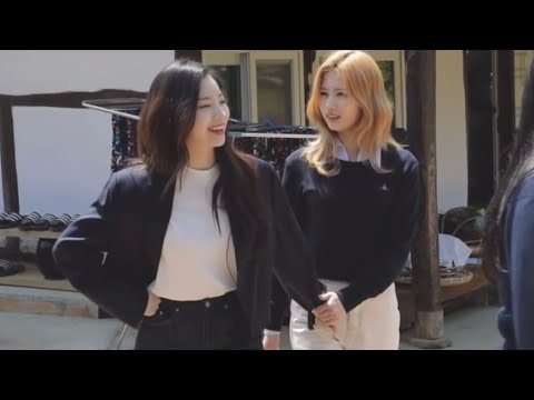 Members were working hard while Sana and Dahyun were dating! LOL