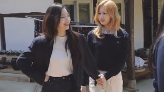 Members were working hard while Sana and Dahyun were dating! LOL