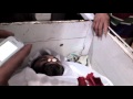 صورة الشهيد أديب محمد كراز 9 7 2011 MP4 