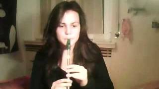 Dageraad - Heidevolk (tin whistle solo)