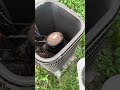 Condenser fan motor replacement easy 💰 #hvac