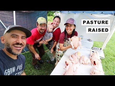 Butchering (30) CHICKENS in our BACKYARD (SIMPLE SETUP)