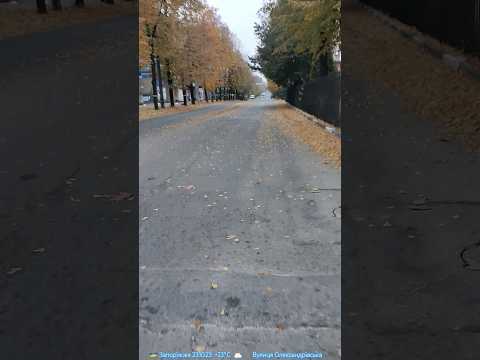 🇺🇦 Запорожье. 23.10.23.