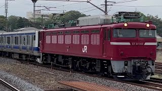 【秋田入場配給】JR常磐線◆E531系K420編成◆2023.04.18