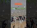 [줌바와초희]줌바/할로윈댄스/I'm in love with a monster/HALLOWEEN/ZUMBA/Fifth Harmony