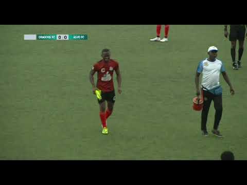 VITALOR LIGUE 1