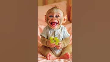 Baby Monkey Eats Grapes for the First Time 🍇 His Reaction Is Everything 😂 #shorts​ 🐒😀