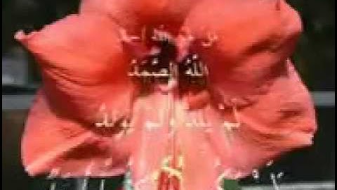 WONDERFUL - Surah 112 al-Ikhlas سورة الإخلاص by Mohammad Siddiq Minshawi.flv