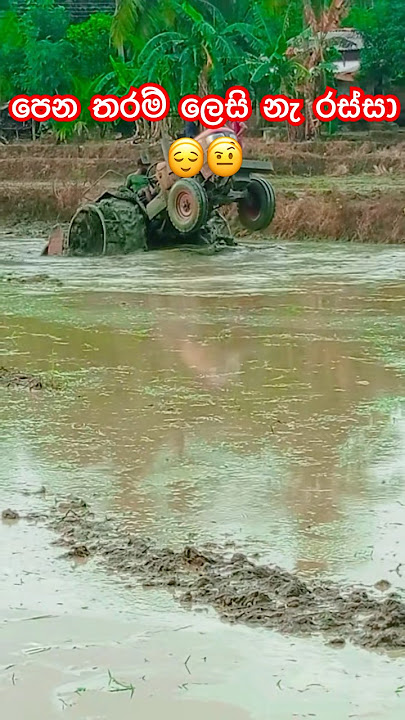 පෙන තරම් ලෙසි නැ රස්සා😌🤨#agricultura #farmingtraditions #farming #farmer #viralvideo